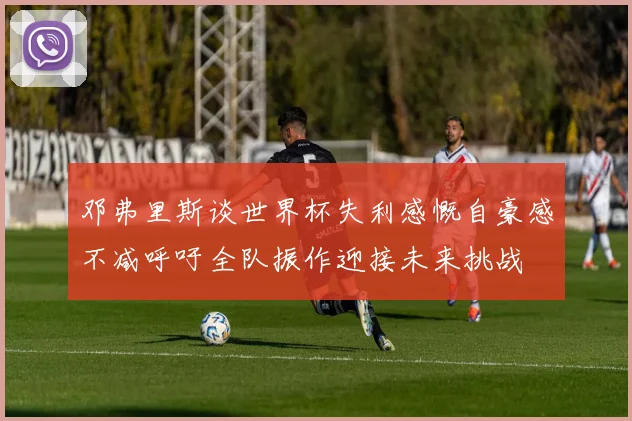 邓弗里斯谈世界杯失利感慨自豪感不减呼吁全队振作迎接未来挑战